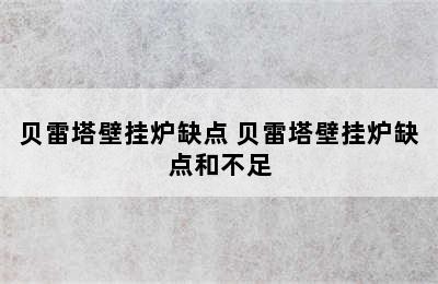 贝雷塔壁挂炉缺点 贝雷塔壁挂炉缺点和不足